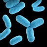 Bioscience Bioassay Antibiotic Resistant Bacteria Lesson 7 Unit 5 Y1