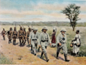More than Mimi and Toutou: World War I in Africa