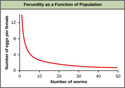 Population Dynamics and Regulation