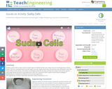 Sudsy Cells