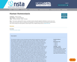 Human Homeostasis