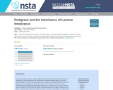 Pedigrees and the Inheritance of Lactose Intolerance