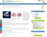 Model Heart Valves