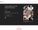 Human Behavior and the Social Environment I – Simple Book Publishing