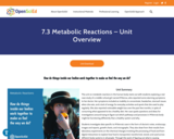 7.3 Metabolic Reactions