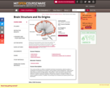 Brain Structure and Its Origins, Spring 2014