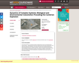 Dynamics of Complex Systems: Biological and Environmental Coevolution Preceding the Cambrian Explosion, Spring 2005
