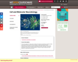 Cell and Molecular Neurobiology, Spring 2008