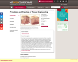 Principles and Practice of Tissue Engineering, Fall 2004