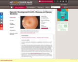 Vascular Development in Life, Disease and Cancer Medicine, Fall 2009