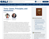 Torts: Cases, Principles, and Institutions