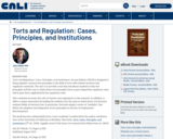 Torts and Regulation: Cases, Principles, and Institutions