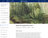 Durer's The Large Piece of Turf