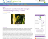 Biomimicry and Sustainable Design - Nature Is an Engineering Marvel
