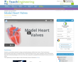 Model Heart Valves