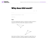 Why Does SAS Work?