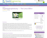 Superhydrophobicity: The Lotus Effect