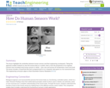 How Do Human Sensors Work?