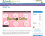 Sudsy Cells