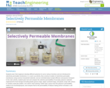 Selectively Permeable Membranes