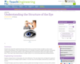 Understanding the Structure of the Eye