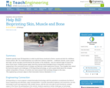 Help Bill! Bioprinting Skin, Muscle and Bone