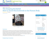 The Amazing Buckyball: How to Track Nanomaterials in the Human Body