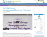 Just Like Kidneys: Semipermeable Membrane Prototypes