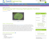 Engineering Self-Cleaning Hydrophobic Surfaces
