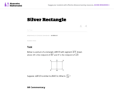 A-CED Silver Rectangle