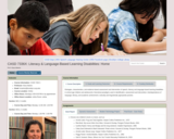 CASD 7336X: Literacy & Language-Based Learning Disabilities