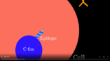 C-fos Immunolabeling · Science Animation