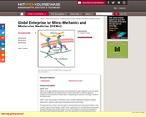 Global Enterprise for Micro-Mechanics and Molecular Medicine (GEM4), Summer 2006