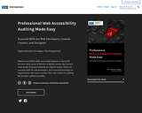 Professional Web Accessibility Auditing Made Easy: Essential Skills for Web Developers, Content Creators, and Designers