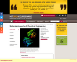 Molecular Aspects of Chemical Engineering, Fall 2004