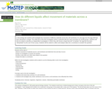 How Do Different Liquids Affect Movement of Materials Across a Membrane?