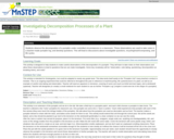 Investigating Decomposition: Processes of a Plant