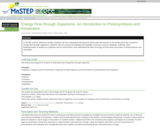 Energy Flow through Organisms: An Introduction to Photosynthesis and Respiration