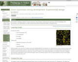 Gene Expression During Development: Experimental Design Problem
