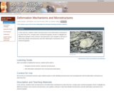 Deformation Mechanisms and Microstructures