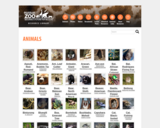 Animal Database