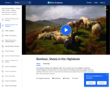 Bonheur's Sheep in the Highlands