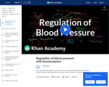 Healthcare and Medicine - The Heart: Blood Pressure Control