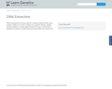 Learn Genetics: How to Extract DNA from Anything Living