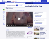Environmental Public Health: Environmental Justice: Opposing Industrial Hog Farming