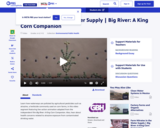 Environmental Public Health: Atrazine Affects the Water Supply: Big River: A King Corn Companion