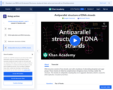 Biology: Macromolecules: Antiparallel Structure of DNA Strands