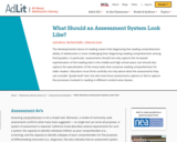 AdLit.org: What Should an Assessment System Look Like?