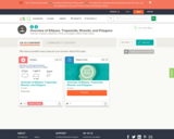 Overview of Ellipses Trapezoids Rhombi and Polygons