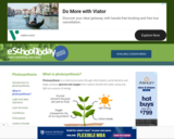 eSchoolToday: Introduction to Photosynthesis